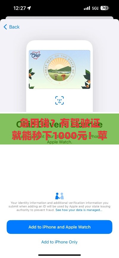 急用钱？有驾驶证就能秒下1000元！苹果用户看过来