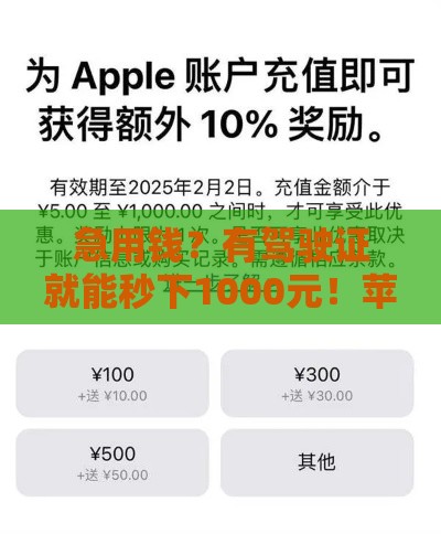 急用钱？有驾驶证就能秒下1000元！苹果用户看过来