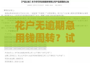 花户无逾期急用钱周转？试试这几个靠谱方法！