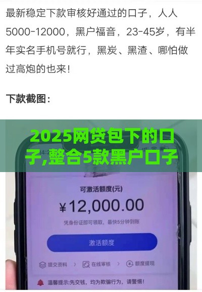 2025网贷包下的口子,整合5款黑户口子入口大全