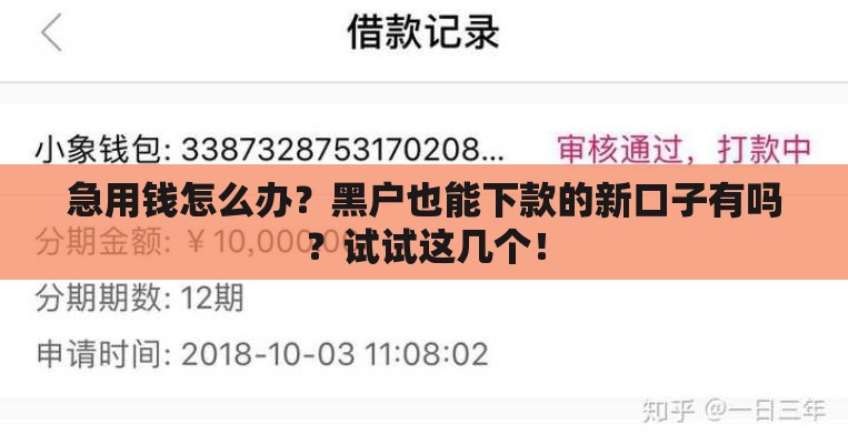 急用钱怎么办？黑户也能下款的新口子有吗？试试这几个！