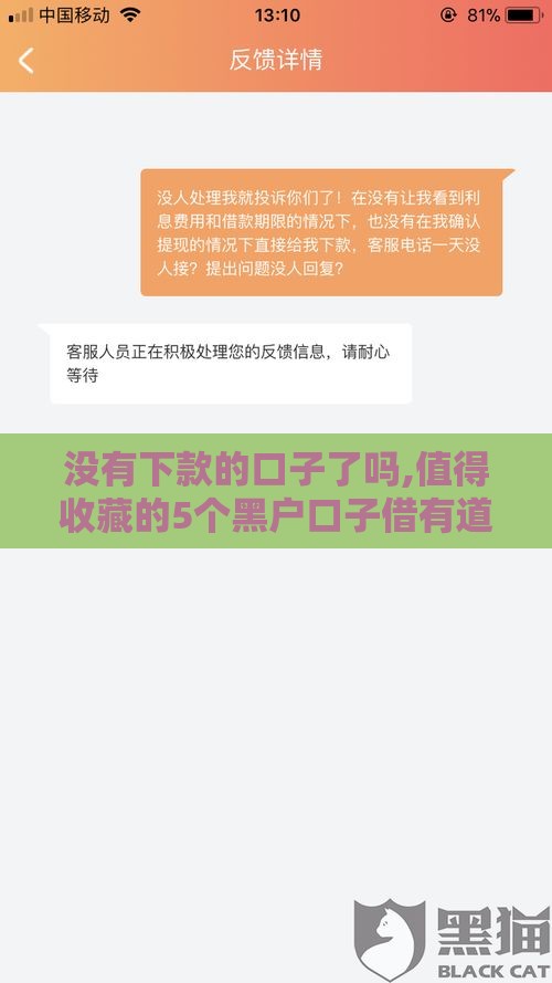 没有下款的口子了吗,值得收藏的5个黑户口子借有道
