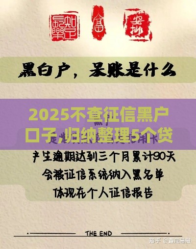 2025不查征信黑户口子,归纳整理5个贷款黑户口子推荐