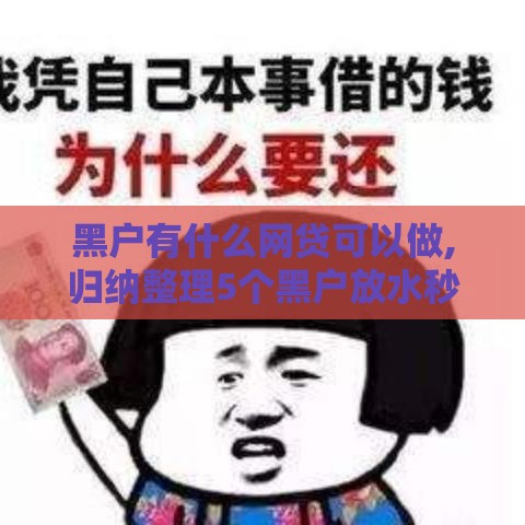 黑户有什么网贷可以做,归纳整理5个黑户放水秒过的口子