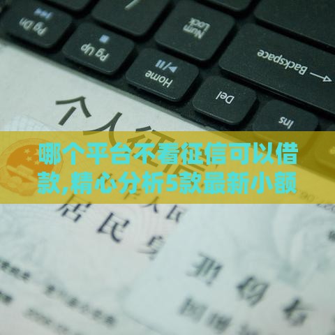哪个平台不看征信可以借款,精心分析5款最新小额黑户口子