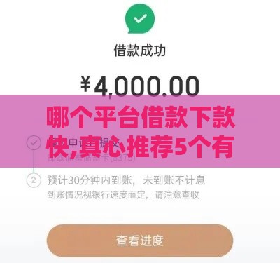 哪个平台借款下款快,真心推荐5个有那些黑户口子