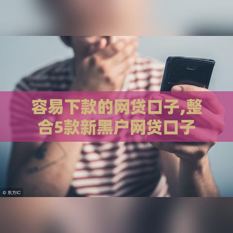 容易下款的网贷口子,整合5款新黑户网贷口子
