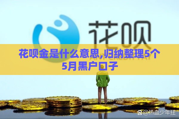 花呗金是什么意思,归纳整理5个5月黑户口子