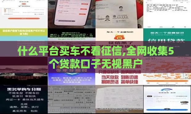 什么平台买车不看征信,全网收集5个贷款口子无视黑户