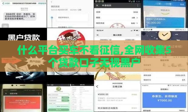 什么平台买车不看征信,全网收集5个贷款口子无视黑户