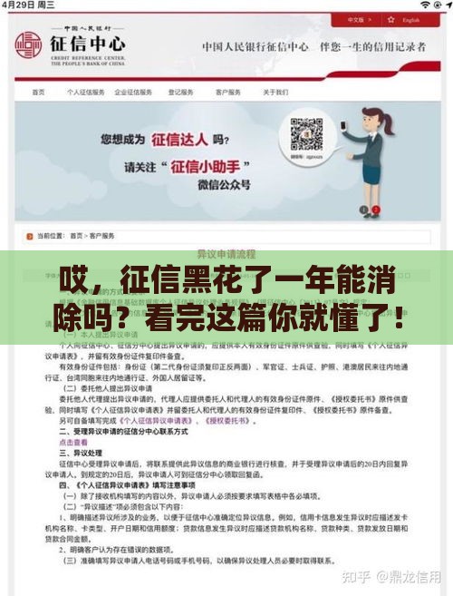哎，征信黑花了一年能消除吗？看完这篇你就懂了！