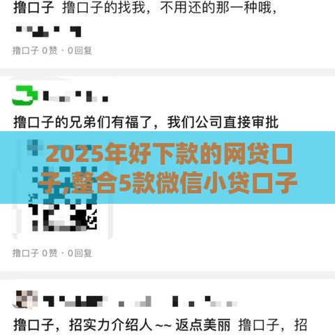 2025年好下款的网贷口子,整合5款微信小贷口子黑户