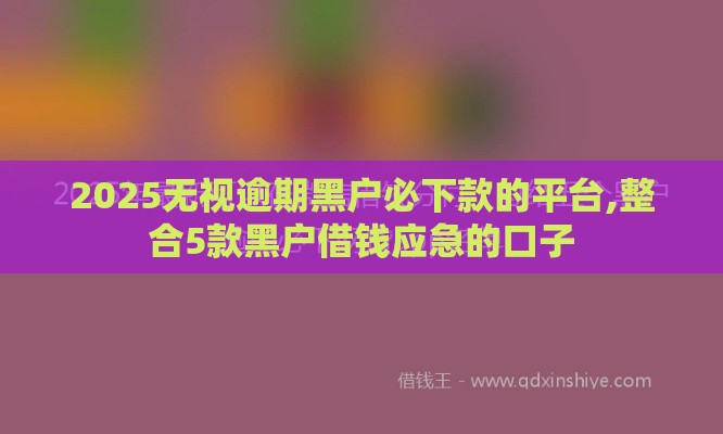 2025无视逾期黑户必下款的平台,整合5款黑户借钱应急的口子
