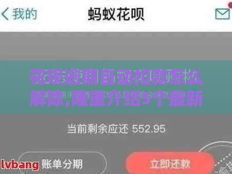 花呗逾期自动扣款怎么解除,隆重介绍5个最新黑户必下口子
