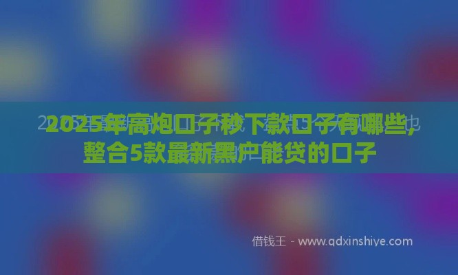 2025年高炮口子秒下款口子有哪些,整合5款最新黑户能贷的口子