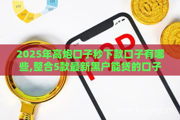 2025年高炮口子秒下款口子有哪些,整合5款最新黑户能贷的口子