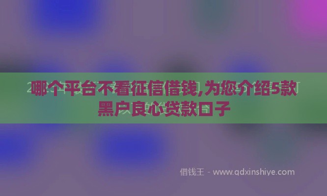 哪个平台不看征信借钱,为您介绍5款黑户良心贷款口子