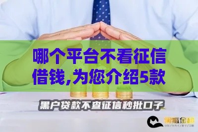 哪个平台不看征信借钱,为您介绍5款黑户良心贷款口子