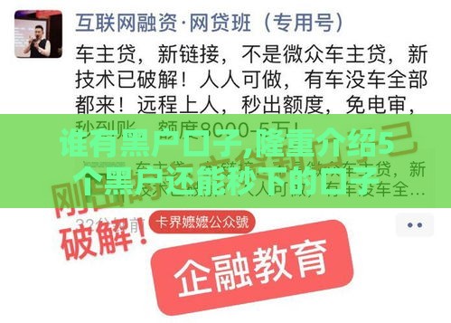 谁有黑户口子,隆重介绍5个黑户还能秒下的口子 谁有黑户口子,隆重介绍5个黑户还能秒下的口子