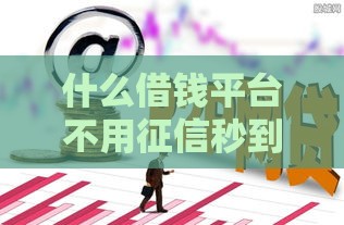 什么借钱平台不用征信秒到账,真心推荐5个7天黑户网贷口子
