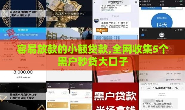 容易放款的小额贷款,全网收集5个黑户秒贷大口子
