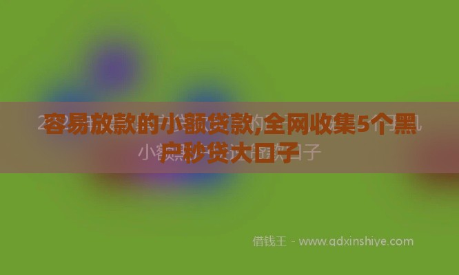 容易放款的小额贷款,全网收集5个黑户秒贷大口子