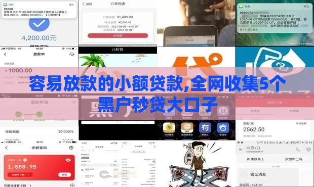 容易放款的小额贷款,全网收集5个黑户秒贷大口子