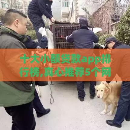 十大小额贷款app排行榜,真心推荐5个网贷口子黑户必下