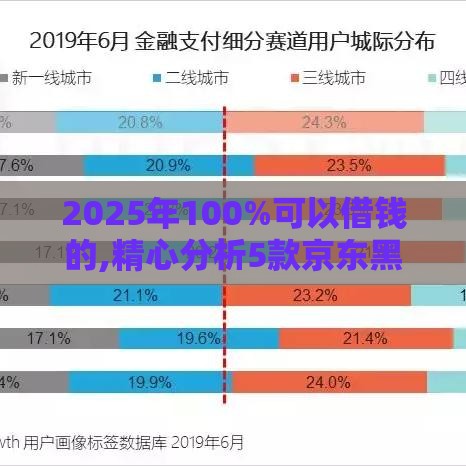 2025年100%可以借钱的,精心分析5款京东黑户口子女入学