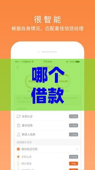 哪个借款平台放款容易,全网收集5个3000黑户口子