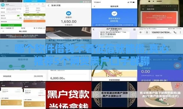 哪个软件借钱不看征信就能借,真心推荐5个网贷黑户口子群聊