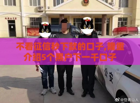 不看征信秒下款的口子,隆重介绍5个黑户下一千口子