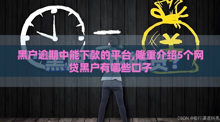 黑户逾期中能下款的平台,隆重介绍5个网贷黑户有哪些口子