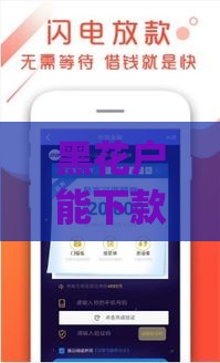 黑花户能下款的app,归纳整理5个无视黑户下款口子