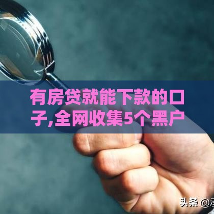 有房贷就能下款的口子,全网收集5个黑户贷款口子平台