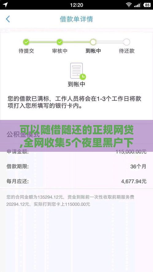 可以随借随还的正规网贷,全网收集5个夜里黑户下款口子 可以随借随还的正规网贷,全网收集5个夜里黑户下款口子