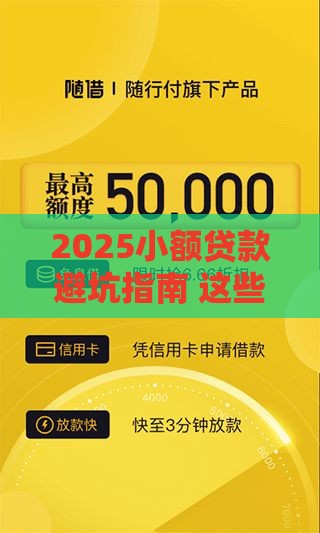 2025小额贷款避坑指南 这些事你必须提前了解！