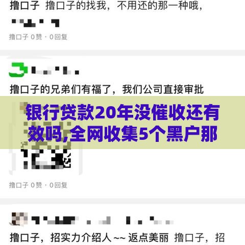 银行贷款20年没催收还有效吗,全网收集5个黑户那个口子能贷款