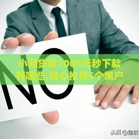 小额贷款1000元秒下款有哪些,真心推荐5个黑户苹果系统的口子