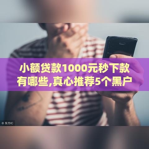小额贷款1000元秒下款有哪些,真心推荐5个黑户苹果系统的口子