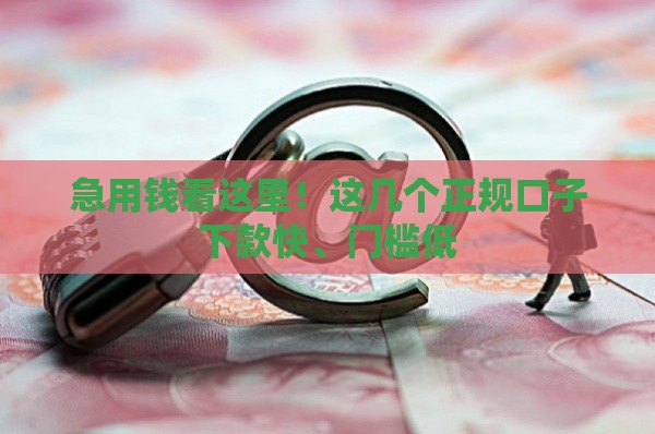 急用钱看这里！这几个正规口子下款快、门槛低
