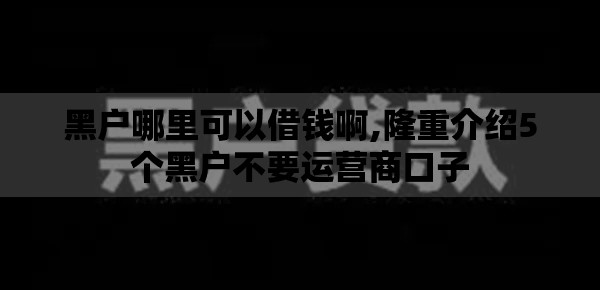 黑户哪里可以借钱啊,隆重介绍5个黑户不要运营商口子
