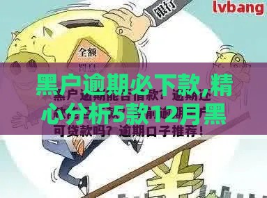 黑户逾期必下款,精心分析5款12月黑户可下口子