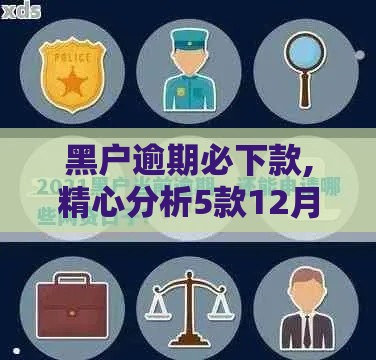 黑户逾期必下款,精心分析5款12月黑户可下口子