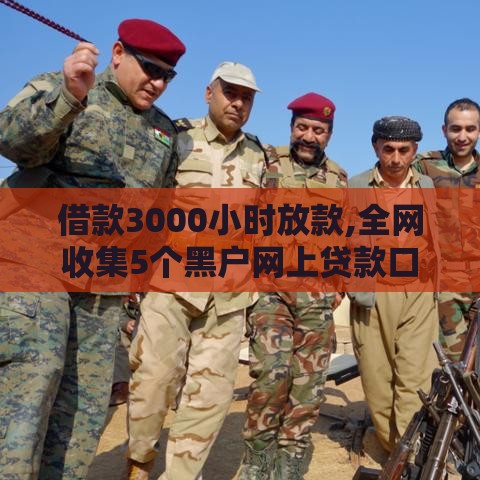 借款3000小时放款,全网收集5个黑户网上贷款口子