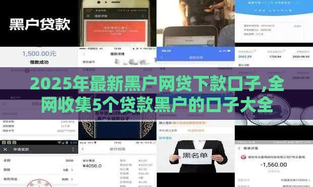 2025年最新黑户网贷下款口子,全网收集5个贷款黑户的口子大全