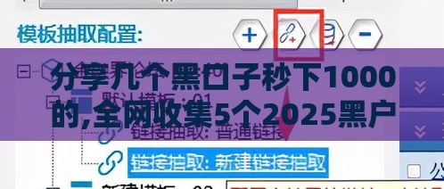 分享几个黑口子秒下1000的,全网收集5个2025黑户大口子