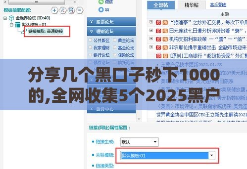 分享几个黑口子秒下1000的,全网收集5个2025黑户大口子