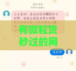 有微粒贷秒过的网贷有哪些？这份避坑指南帮你快速申请到靠谱贷款！