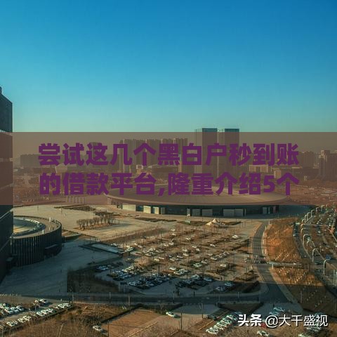 尝试这几个黑白户秒到账的借款平台,隆重介绍5个双黑户口子2025
